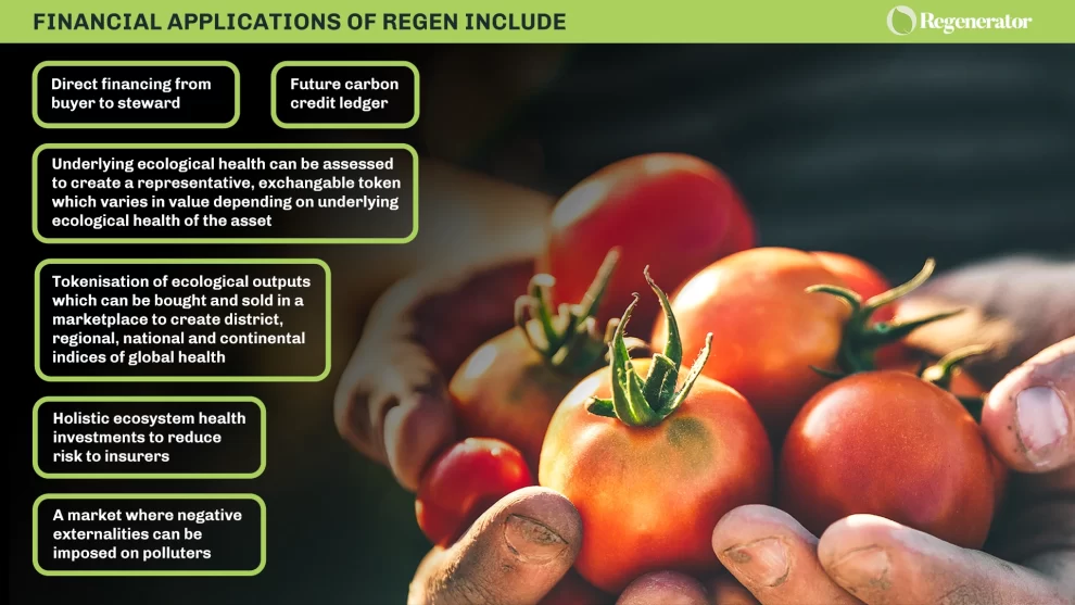 Report image explaining sustainable crypto staking by Regenerator by Nigel Pennington